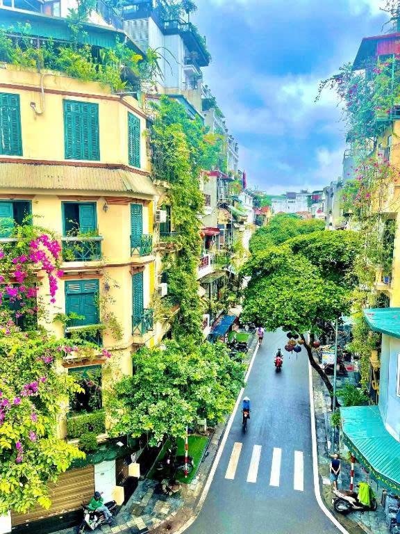 Viet Premium's story